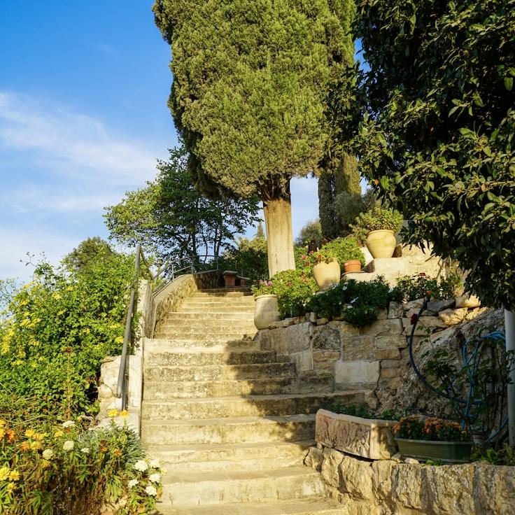 Family terraces and cafés for calm evenings in Berlin